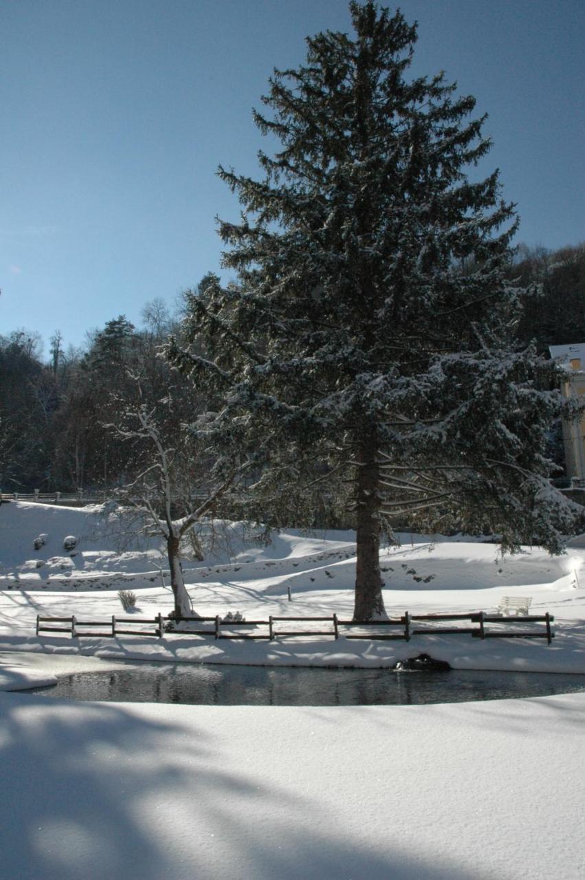 Appart Le Chili- Quartier Thermal- Lit Fait Luz-Saint-Sauveur Kültér fotó